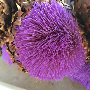 This is the blooming artichoke!